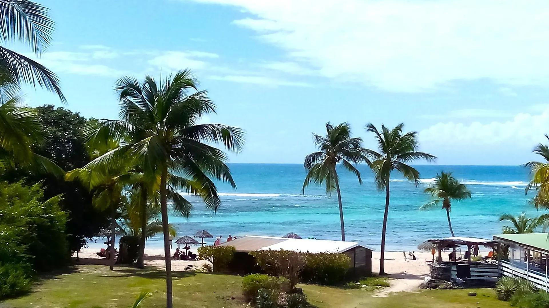 Appartement Face A La Mer Et Plage A L'Anse Des Rochers Guadeloupe サン・フランソワ